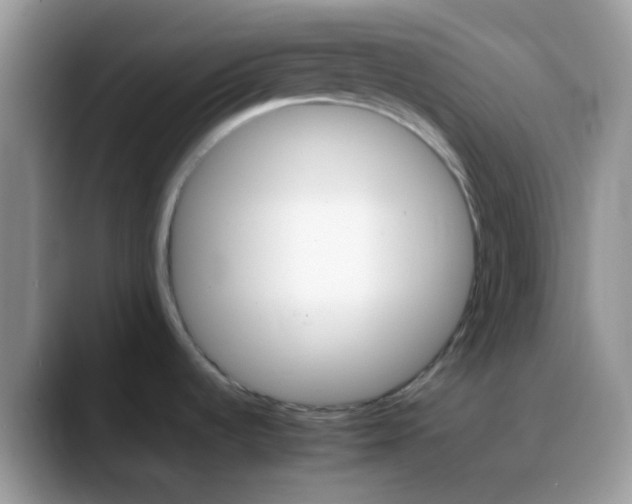 X0000088191536200705292002