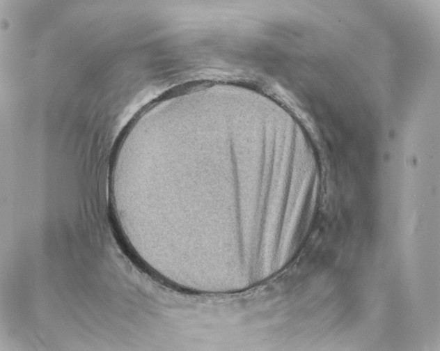 X0000088190011200706051218