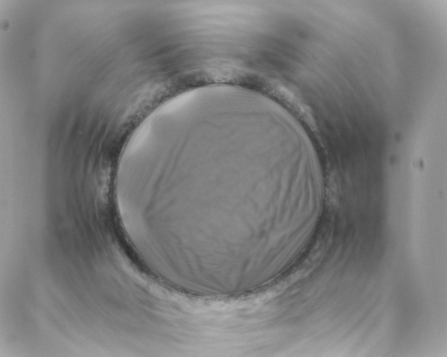 X0000088190018200706051218