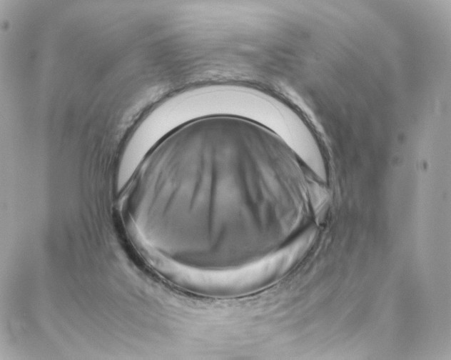 X0000088190019200706051218