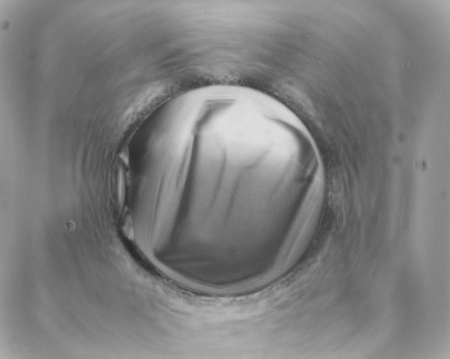 X0000088190023200706051218