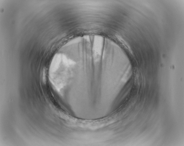 X0000088190026200706051218