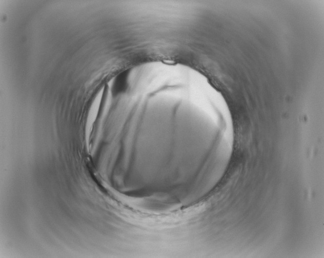 X0000088190027200706051218