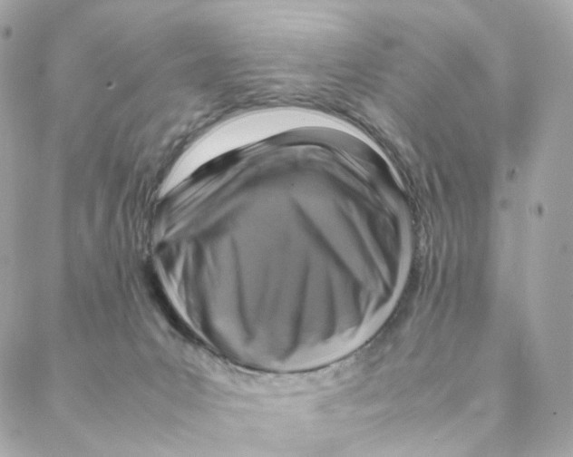 X0000088190031200706051218