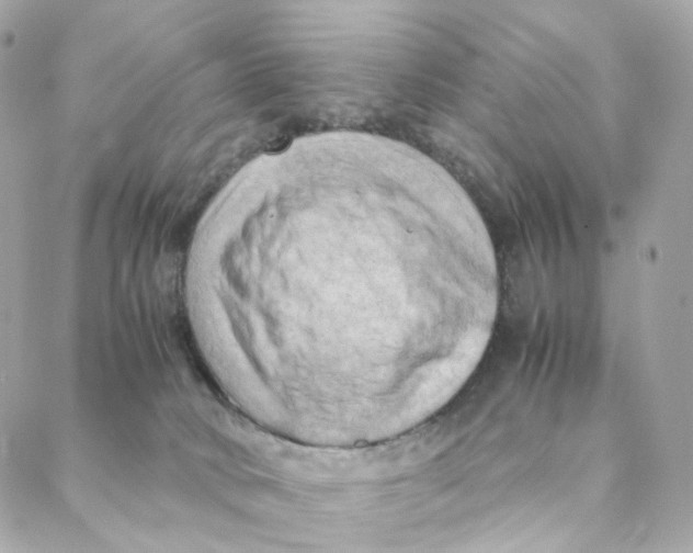X0000088190034200706051218