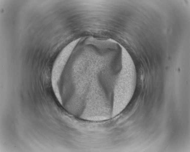 X0000088190040200706051218
