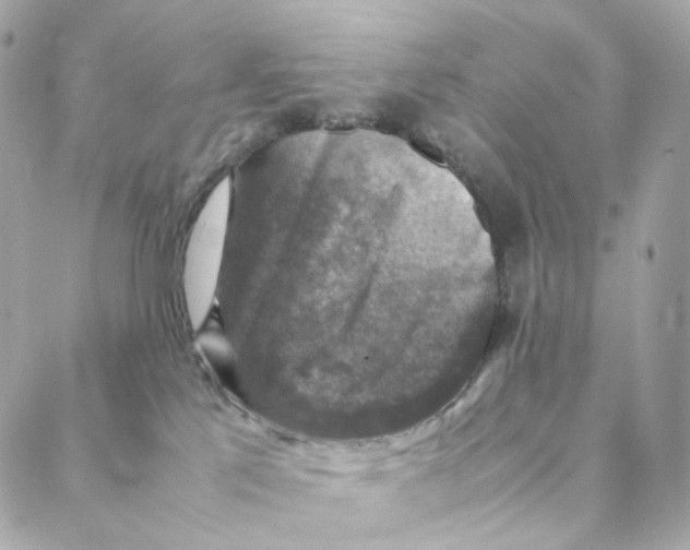 X0000088190041200706051218
