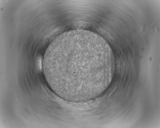 X0000088190042200706051218