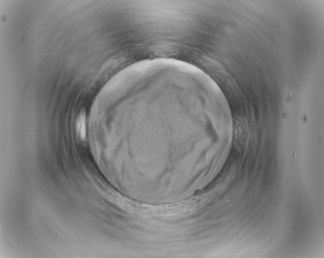 X0000088190046200706051218