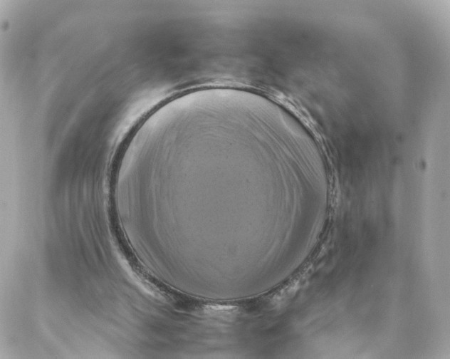 X0000088190055200706051217