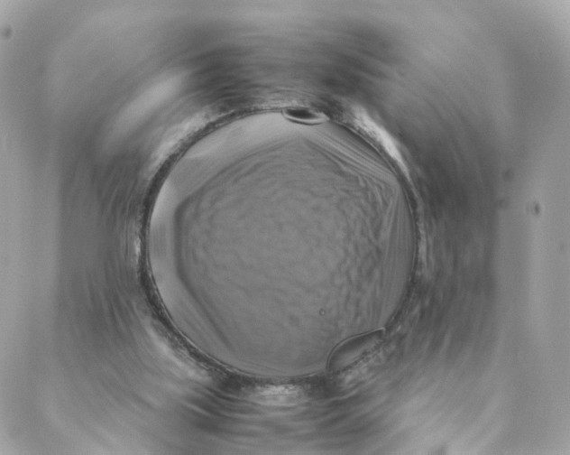 X0000088190059200706051217