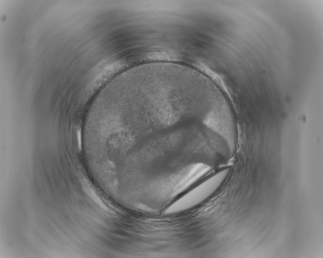 X0000088190061200706051217