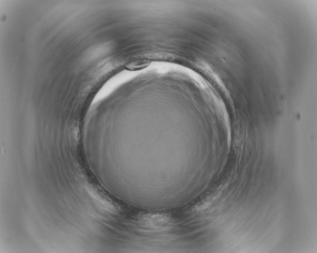 X0000088190063200706051217