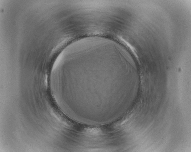 X0000088190067200706051217