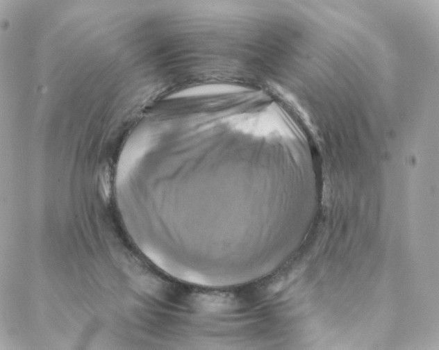 X0000088190069200706051217
