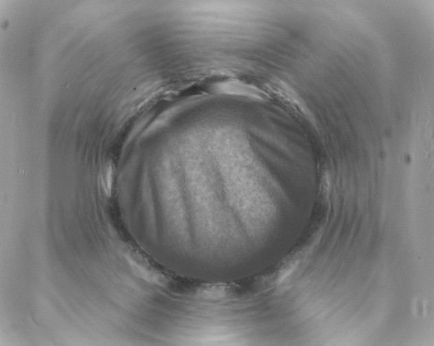 X0000088190076200706051217