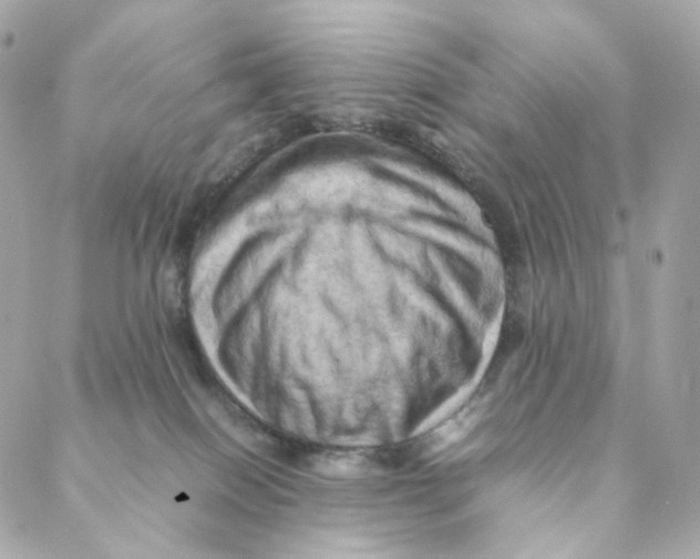 X0000088190086200706051217