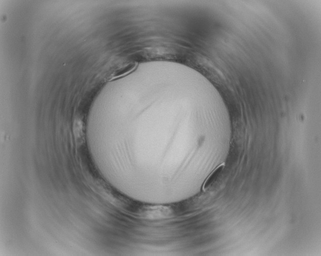 X0000088190087200706051217