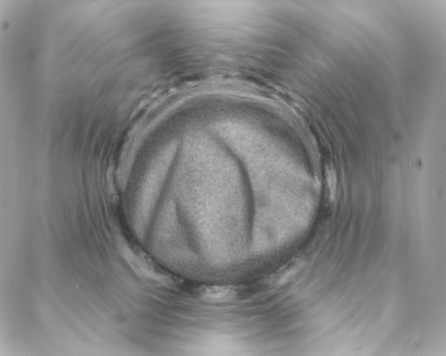 X0000088190088200706051217