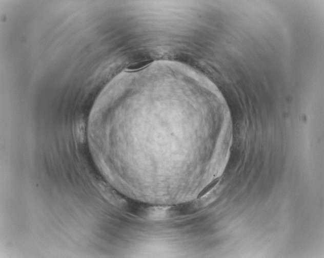 X0000088190090200706051217