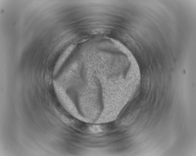 X0000088190091200706051217