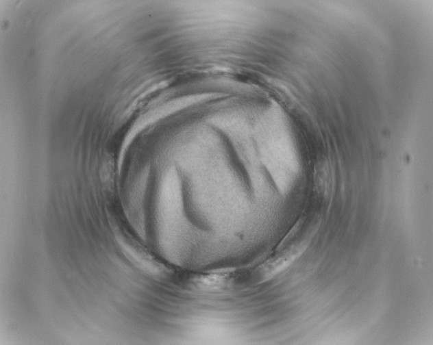 X0000088190092200706051217