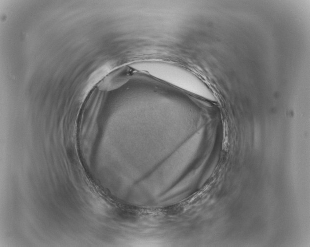 X0000088190099200706051217