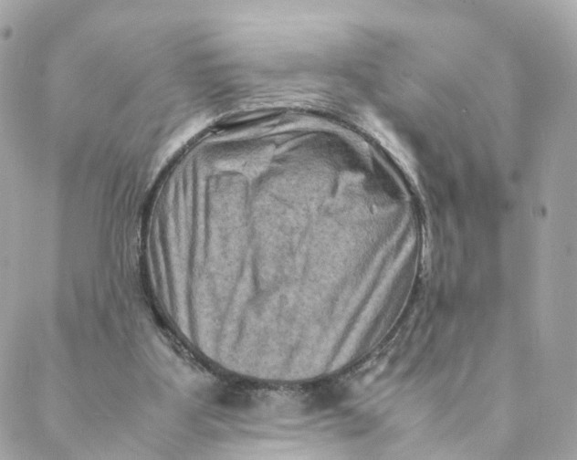 X0000088190107200706051217