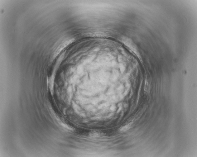 X0000088190109200706051217