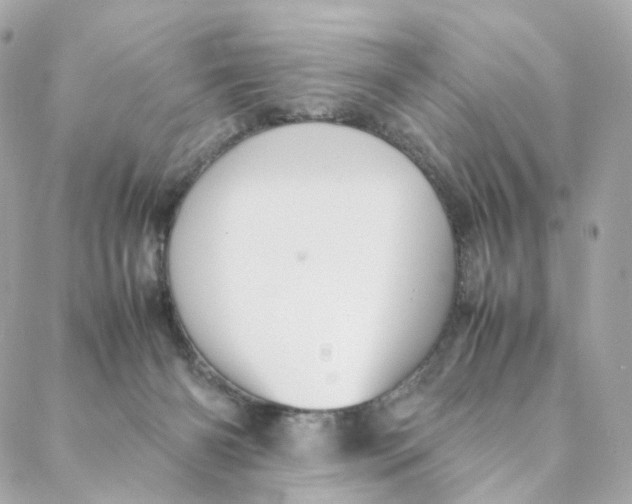 X0000088190126200706051216