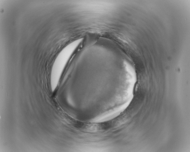 X0000088190127200706051216
