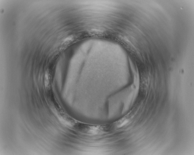 X0000088190130200706051216