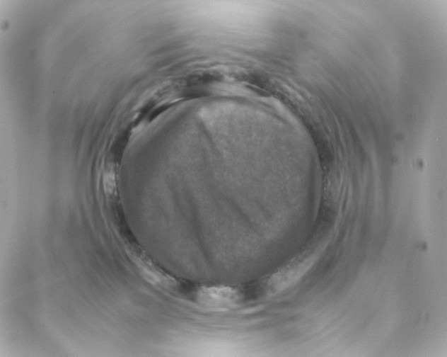 X0000088190137200706051216