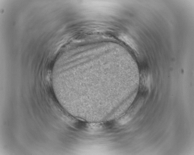 X0000088190141200706051216