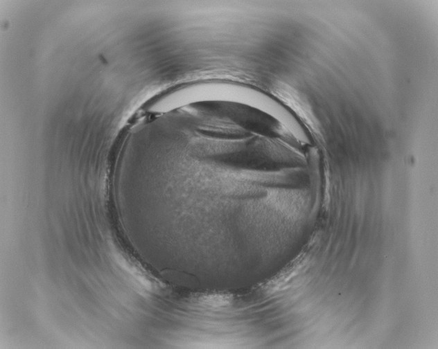 X0000088190156200706051215
