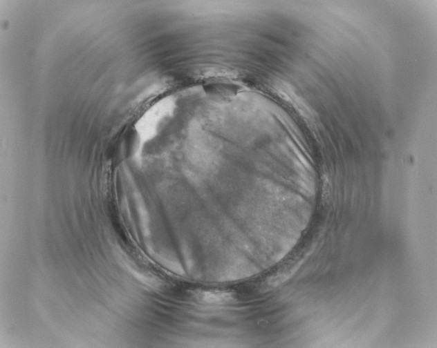 X0000088190165200706051215