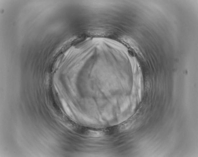 X0000088190167200706051216