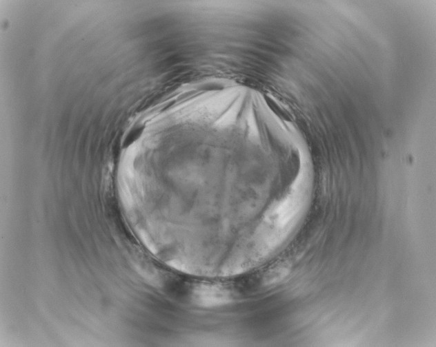 X0000088190177200706051216