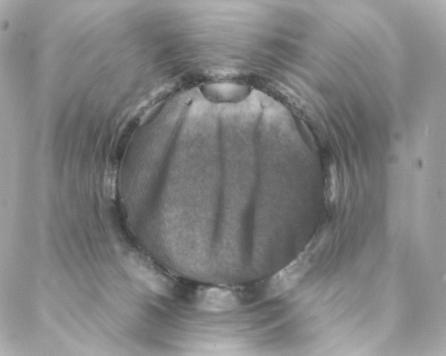 X0000088190180200706051216