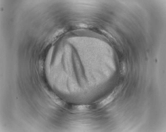 X0000088190184200706051216