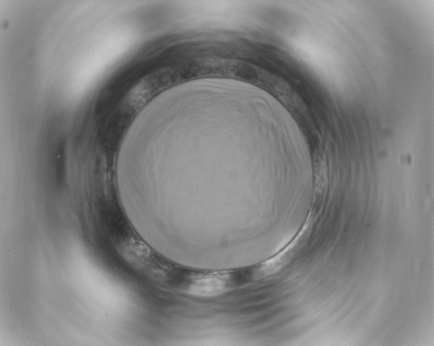 X0000088190191200706051216