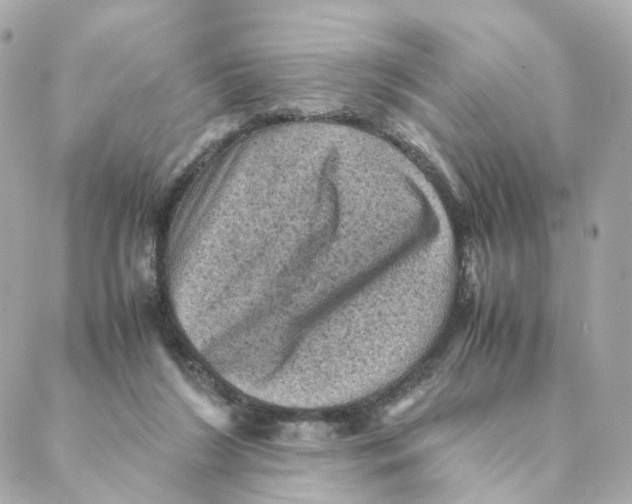 X0000088190212200706051215