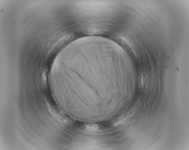 X0000088190214200706051215