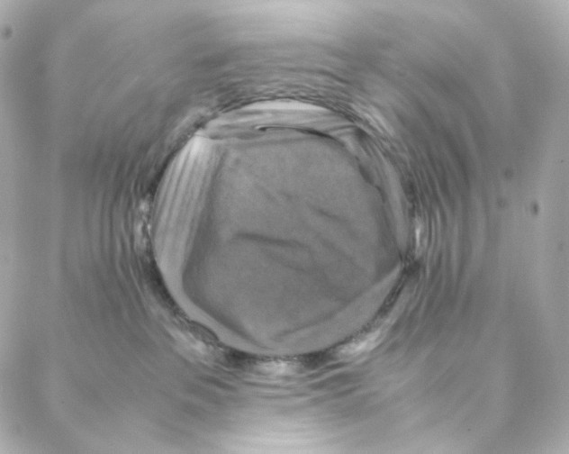X0000088190237200706051214