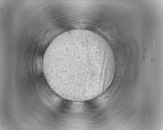 X0000088190240200706051214