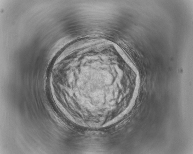 X0000088190242200706051214