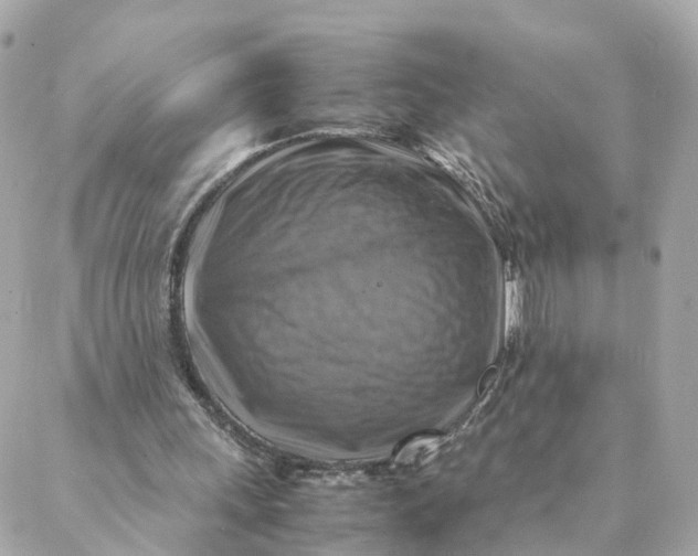 X0000088190243200706051214