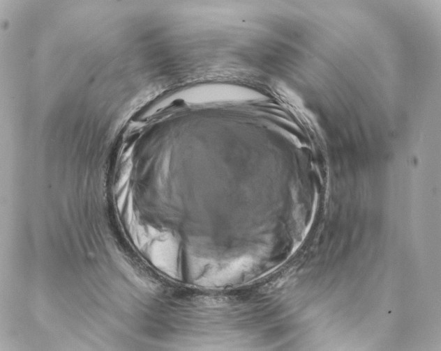 X0000088190250200706051214