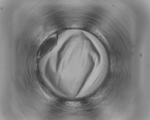 X0000088190251200706051214