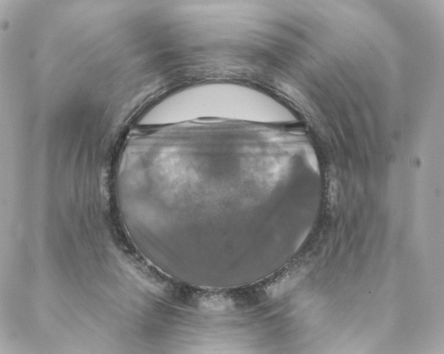 X0000088190258200706051214